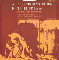 Shakatak : If You Could See Me Now (12", Single)
