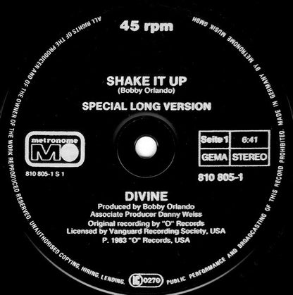 Divine : Shake It Up (Special Long Version) (12")