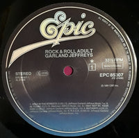 Garland Jeffreys : Rock & Roll Adult (LP, Album)