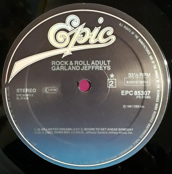 Garland Jeffreys : Rock & Roll Adult (LP, Album)