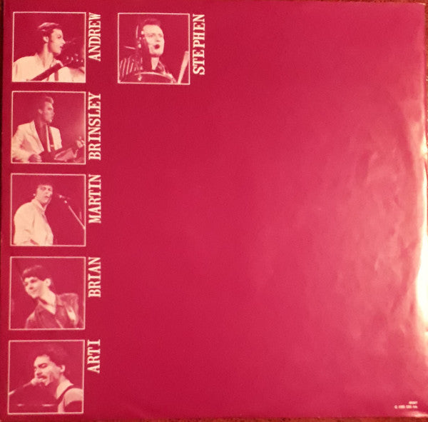 Garland Jeffreys : Rock & Roll Adult (LP, Album)