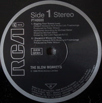 The Blow Monkeys : Digging Your Scene (12", Maxi)