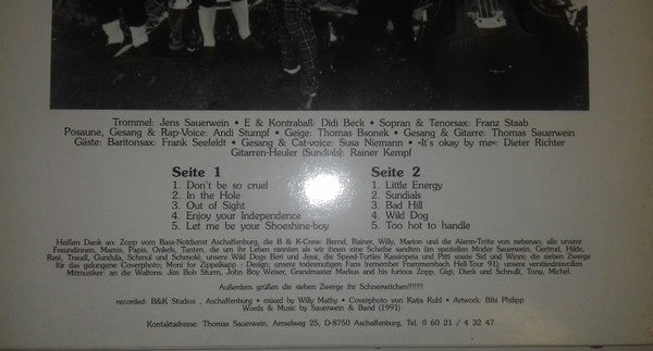 Sauerwein & Band : Little Energy (LP, Album)