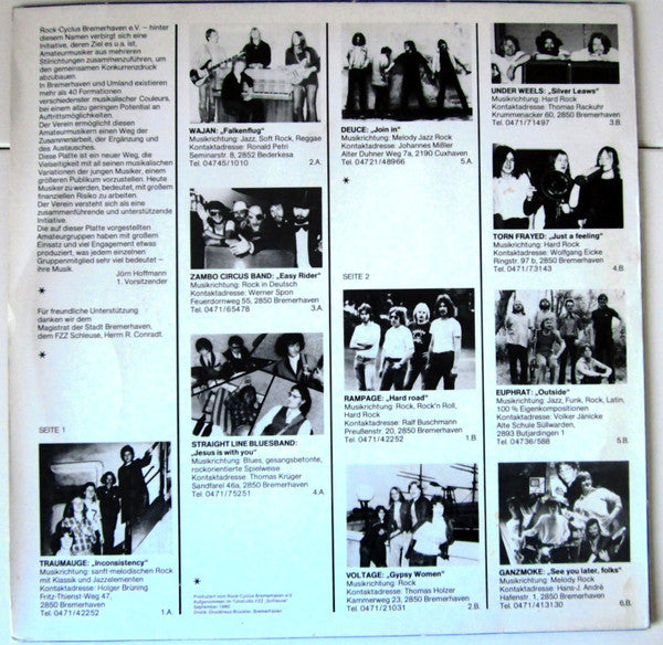 Various : Rock-Cyclus (LP, Comp)
