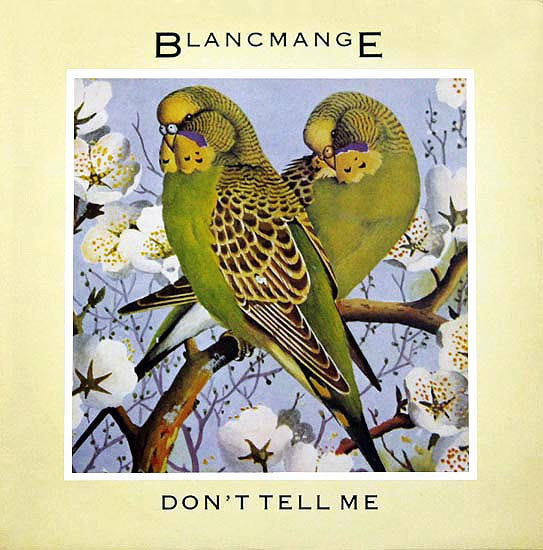 Blancmange : Don't Tell Me (12", Single)