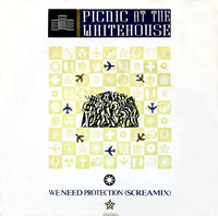 Picnic At The Whitehouse : We Need Protection (Screamix) (12")