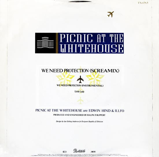 Picnic At The Whitehouse : We Need Protection (Screamix) (12")