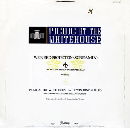 Picnic At The Whitehouse : We Need Protection (Screamix) (12")