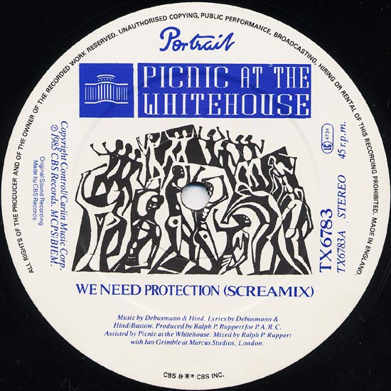 Picnic At The Whitehouse : We Need Protection (Screamix) (12")