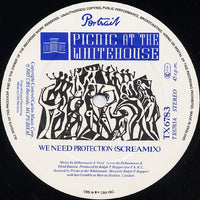 Picnic At The Whitehouse : We Need Protection (Screamix) (12")