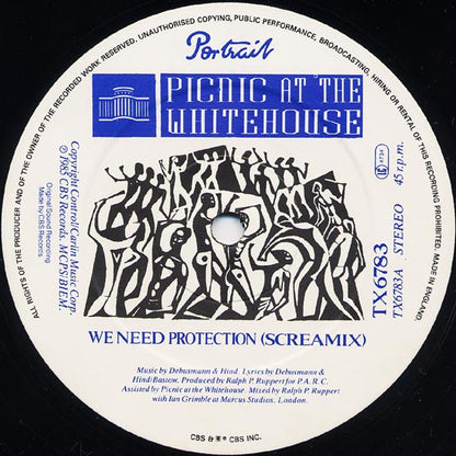 Picnic At The Whitehouse : We Need Protection (Screamix) (12")
