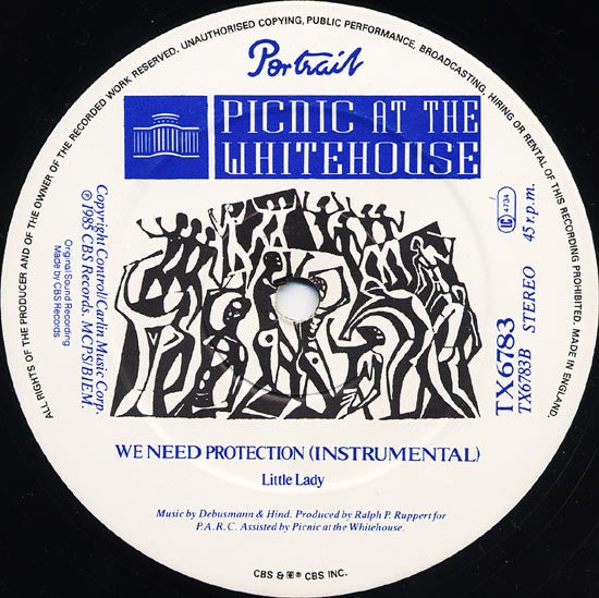 Picnic At The Whitehouse : We Need Protection (Screamix) (12")