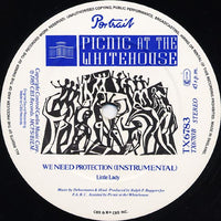 Picnic At The Whitehouse : We Need Protection (Screamix) (12")