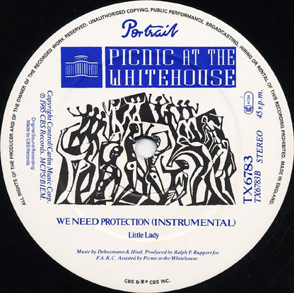 Picnic At The Whitehouse : We Need Protection (Screamix) (12")