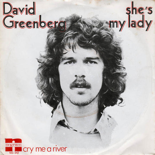 David Greenberg (10) : She's My Lady (7", Single)