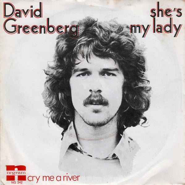 David Greenberg (10) : She's My Lady (7", Single)