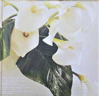 Jane : Between Heaven And Hell (LP, Album, Gat)