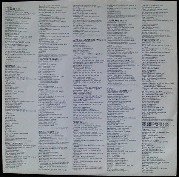 Kiss : Hot In The Shade (LP, Album)