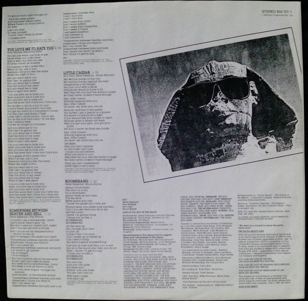 Kiss : Hot In The Shade (LP, Album)