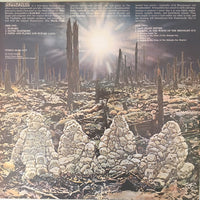 Armageddon (6) : Armageddon (LP, Album)