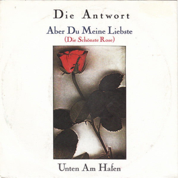 Die Antwort (2) : Aber Du Meine Liebste (Die Schönste Rose) / Unten Am Hafen (7", Single)