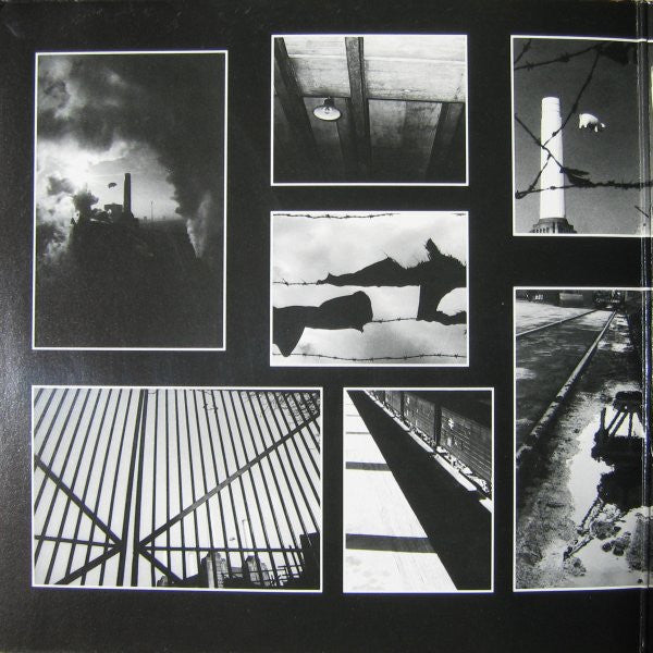 Pink Floyd : Animals (LP, Album, Ltd, Pin)