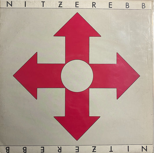 Nitzer Ebb : Isnt It Funny How Your Body Works (12", Single)