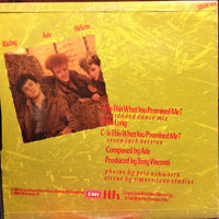 Hoorah! Boys Hoorah! : Is This What You Promised Me? (12")