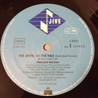 Precious Wilson : The Jewel Of The Nile (12")