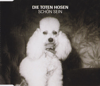 Die Toten Hosen : Schön Sein (CD, Maxi)