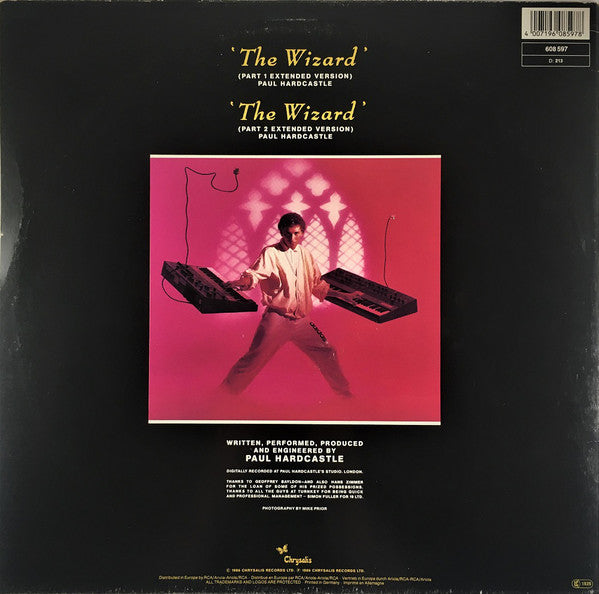 Paul Hardcastle : The Wizard (12", Maxi)