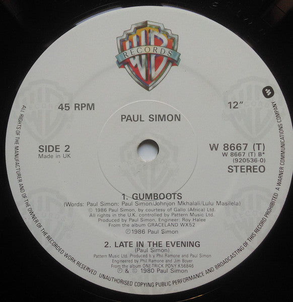 Paul Simon : You Can Call Me Al (12", Single)