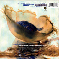 Snowpony : Chocolate In The Sun (7", Ltd, Num)