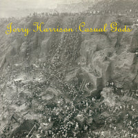 Jerry Harrison : Casual Gods* : Casual Gods (LP, Album)
