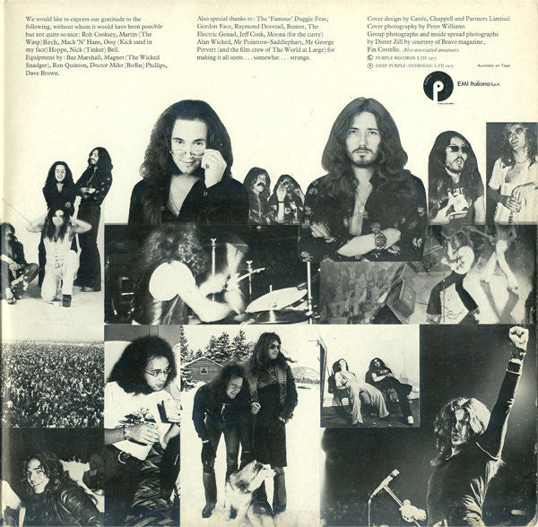 Deep Purple : Come Taste The Band (LP, Album, Gat)