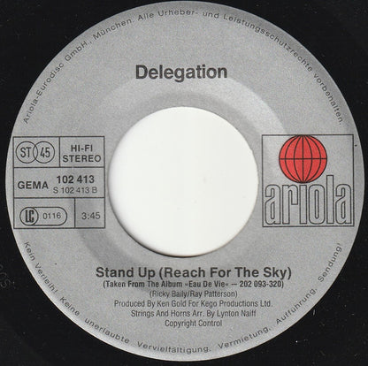 Delegation : Heartache No. 9 (7", Single)