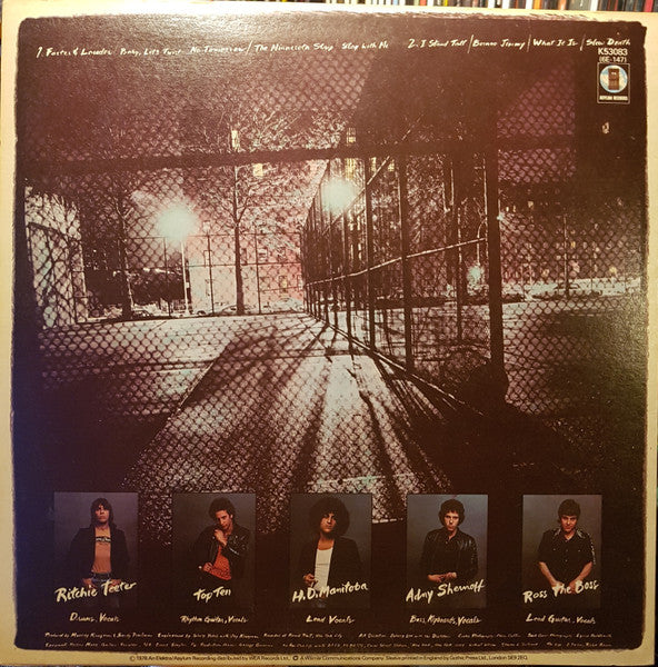 The Dictators : Bloodbrothers (LP, Album)