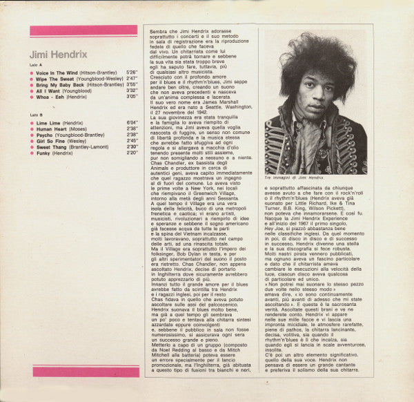 Jimi Hendrix : Jimi Hendrix (LP, Comp)