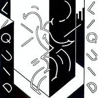 Liquid Liquid : Slip In And Out Of Phenomenon (12", EP + 12", EP + 12", EP + Minimax + Comp, RM)