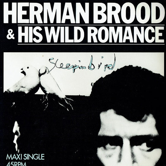 Herman Brood & His Wild Romance : Sleepin Bird (12", Maxi)