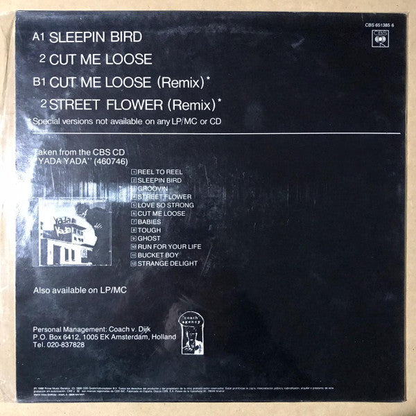 Herman Brood & His Wild Romance : Sleepin Bird (12", Maxi)