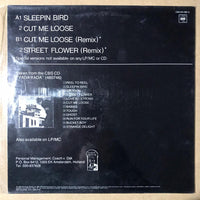 Herman Brood & His Wild Romance : Sleepin Bird (12", Maxi)