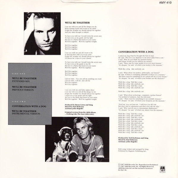 Sting : We'll Be Together (12")