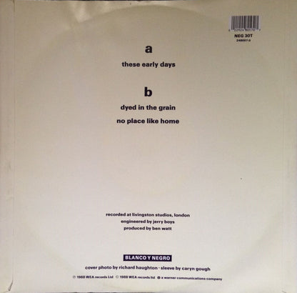 Everything But The Girl : These Early Days (12", Dam)