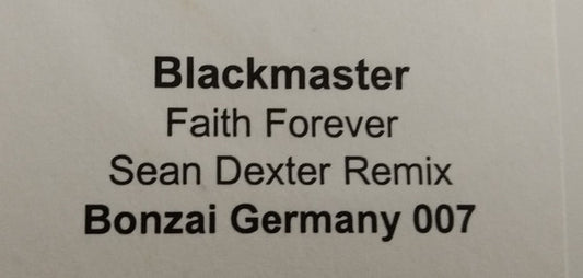 The Blackmaster : Faith Forever (12", Promo, W/Lbl)