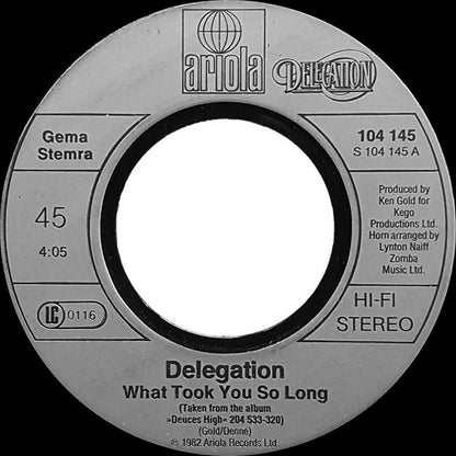 Delegation : What Took You So Long / Gonna Bring The House Down (7", Single)