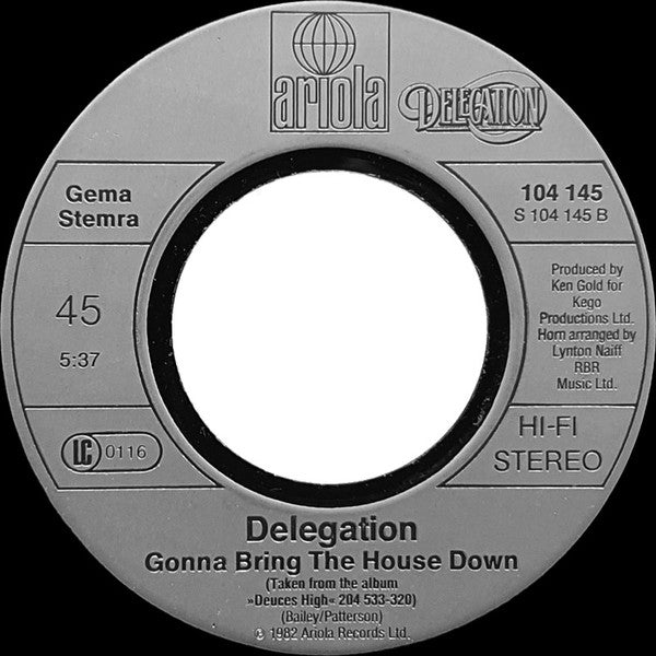 Delegation : What Took You So Long / Gonna Bring The House Down (7", Single)