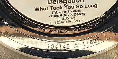 Delegation : What Took You So Long / Gonna Bring The House Down (7", Single)
