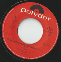 Flavium : Rocking Pneumonia And The Boogie Woogie Flu (7")