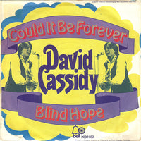 David Cassidy : Could It Be Forever / Blind Hope (7", Single)